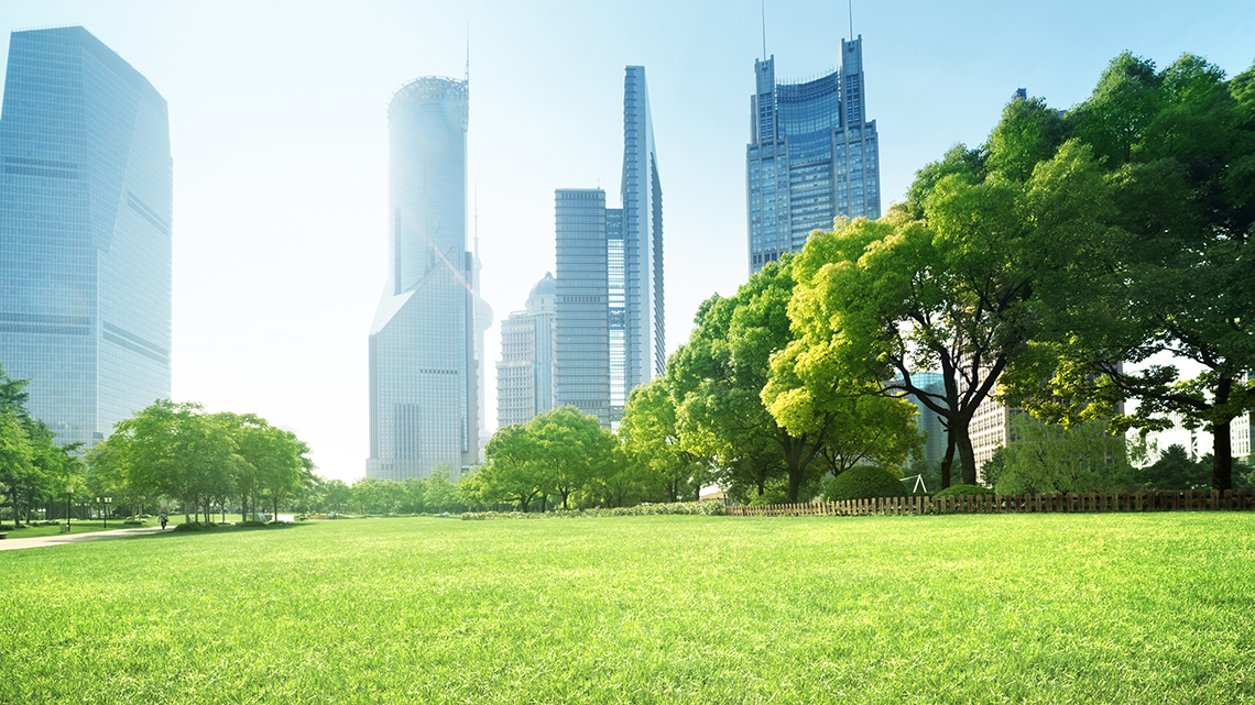 En grön park med stora, moderna skyskrapor i bakgrunden